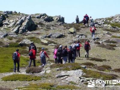 Senderismo Segovia - Macizo de la Buitrera; senderismo madrid sierra norte